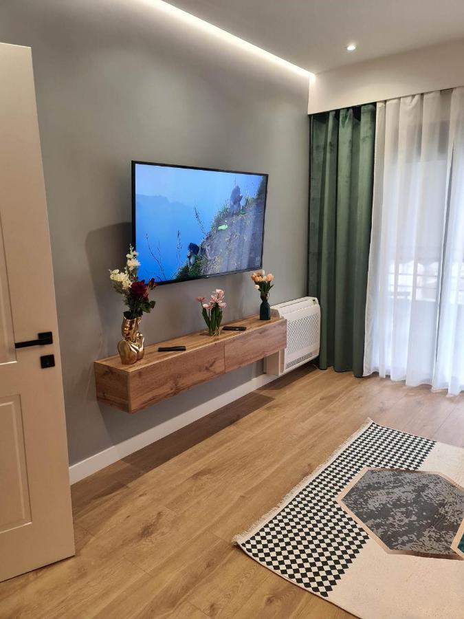 Grey Luxury Apartment Gjirokaster Bagian luar foto