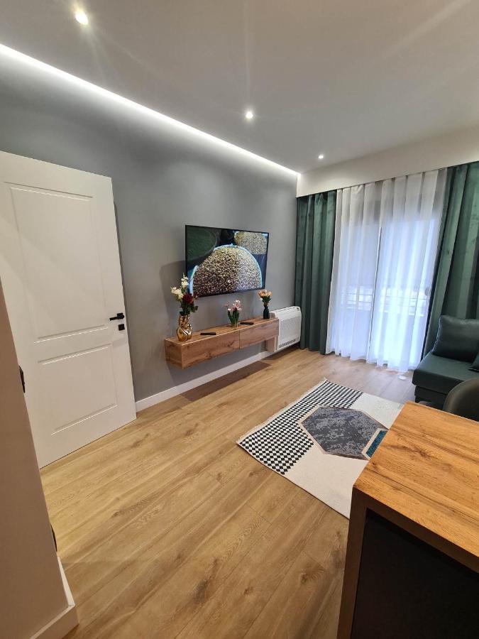 Grey Luxury Apartment Gjirokaster Bagian luar foto