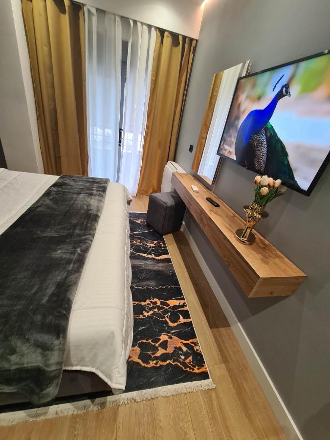 Grey Luxury Apartment Gjirokaster Bagian luar foto