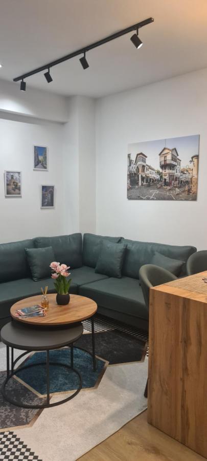 Grey Luxury Apartment Gjirokaster Bagian luar foto